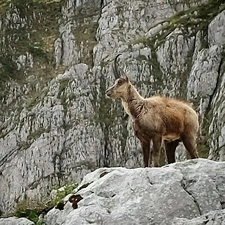 Casa Vacanza Milietta Chieti - 30' Roccaraso Lama dei Peligni